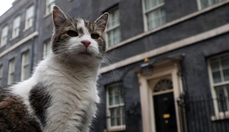 İngiltere'de Başbakanlık Ofisi'nin değişmeyen ismi kedi Larry…